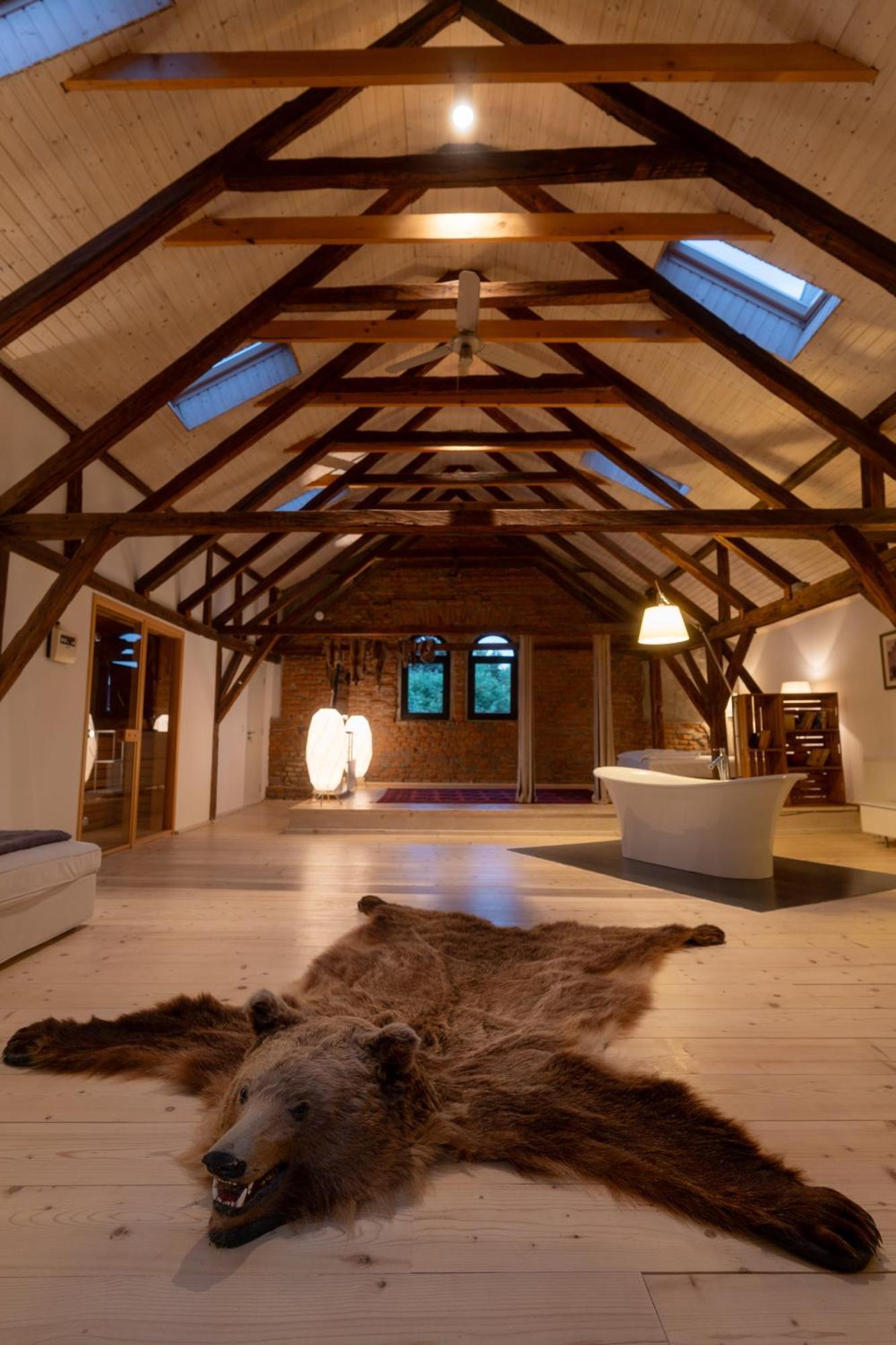 The Open Space Apartment