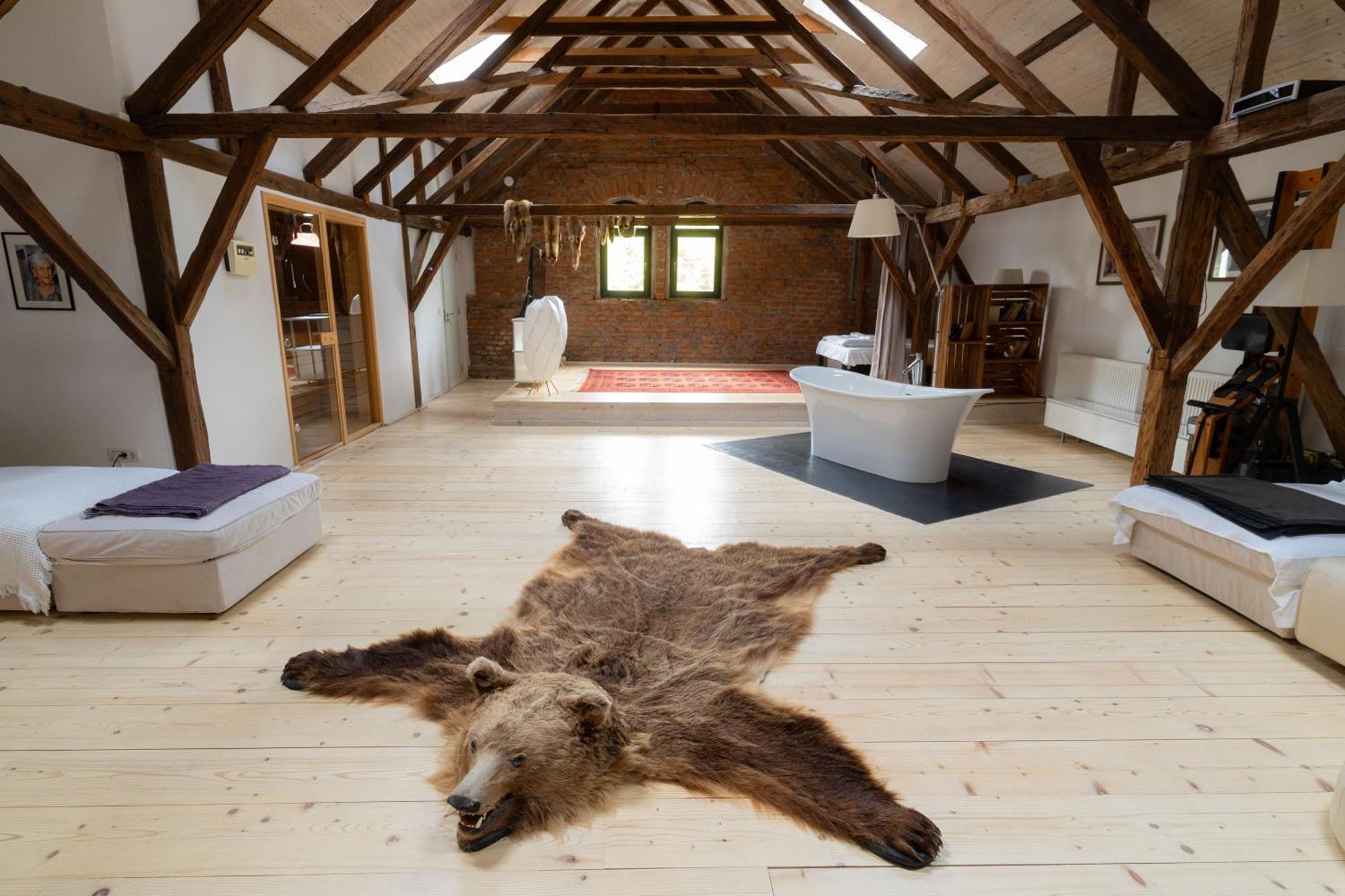 The Open Space Apartment *