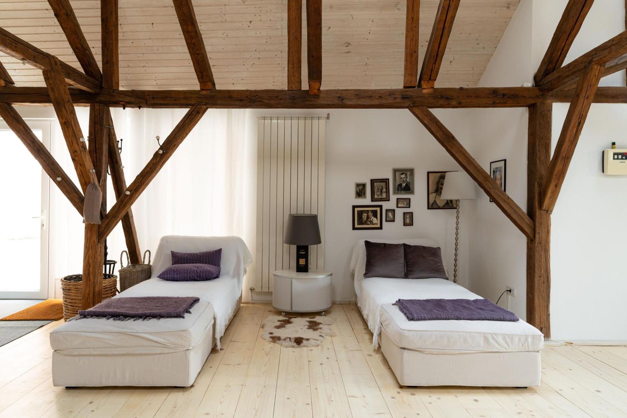 Apartment The Open Space Fagaras
